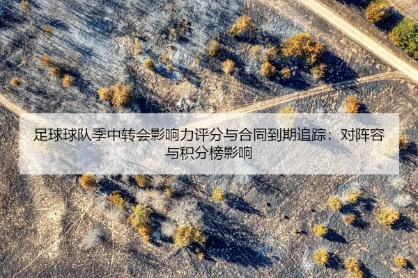 zu-qiu-qiu-dui-ji-zhong-zhuan-hui-ying-xiang-li-ping-fen-yu-he-tong-dao-qi-zhui-zong-dui-zhen-rong-yu-ji-fen-bang-ying-2-377.jpg